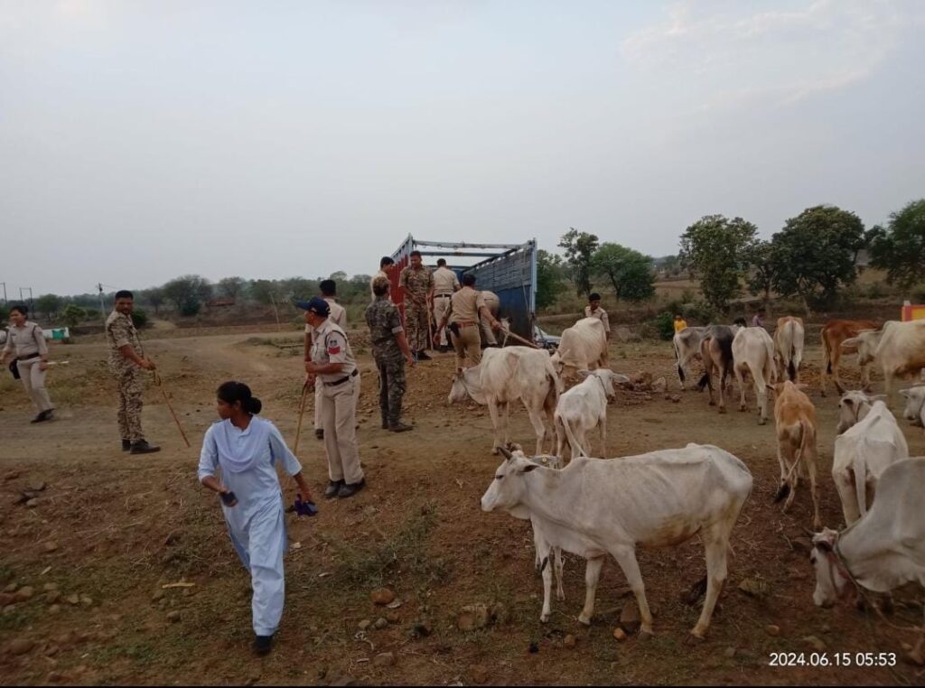 11 Muslim houses were demolished not on the charge of beef, but because they were built on encroached land.